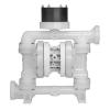 Wilden ISD Series Equalizer Surge Dampeners - P200