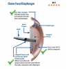Wilden Chem-Fuse Integral Piston Diaphragm (IPD)